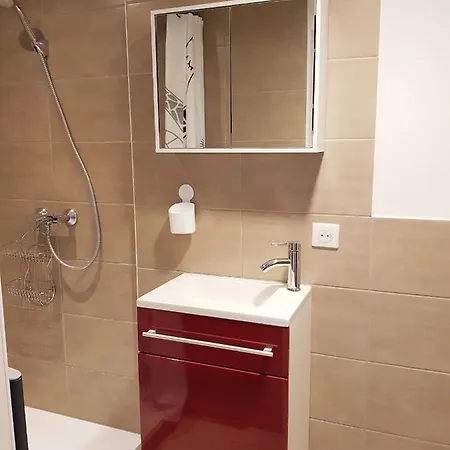 Cosy Avec Terrasse Privee Et Parking Apartment Horbourg