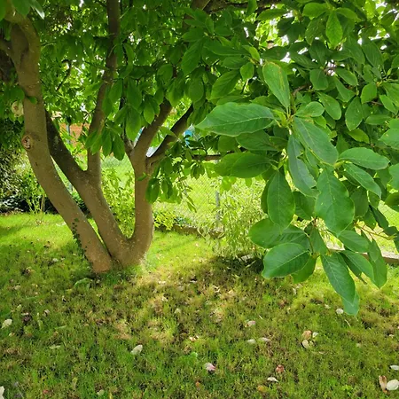 Cosy Avec Terrasse Privee Et Parking Apartment Horbourg